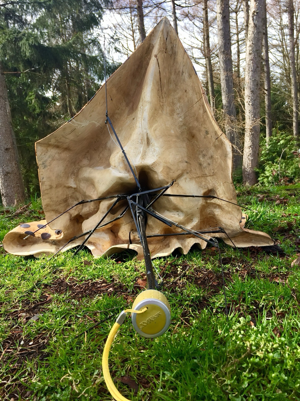 Anna Mrzyglod - Stormy Wetaher (Schirm) 1