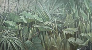 Jürgen D. Flohr - „Meine grüne Welt“